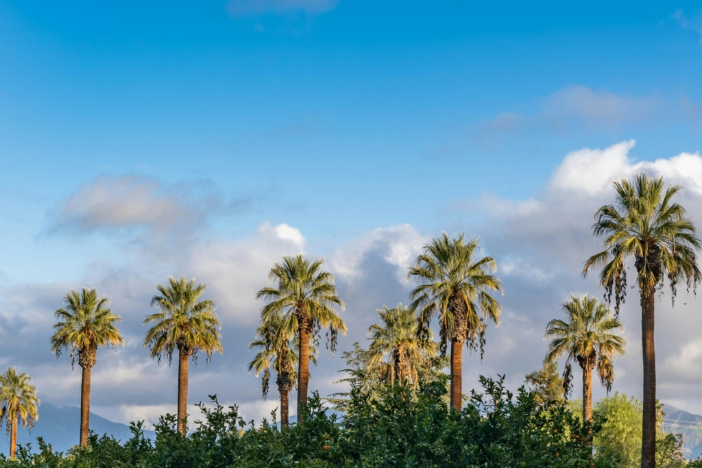 Sell Your House For Cash in Garden Grove CA 1