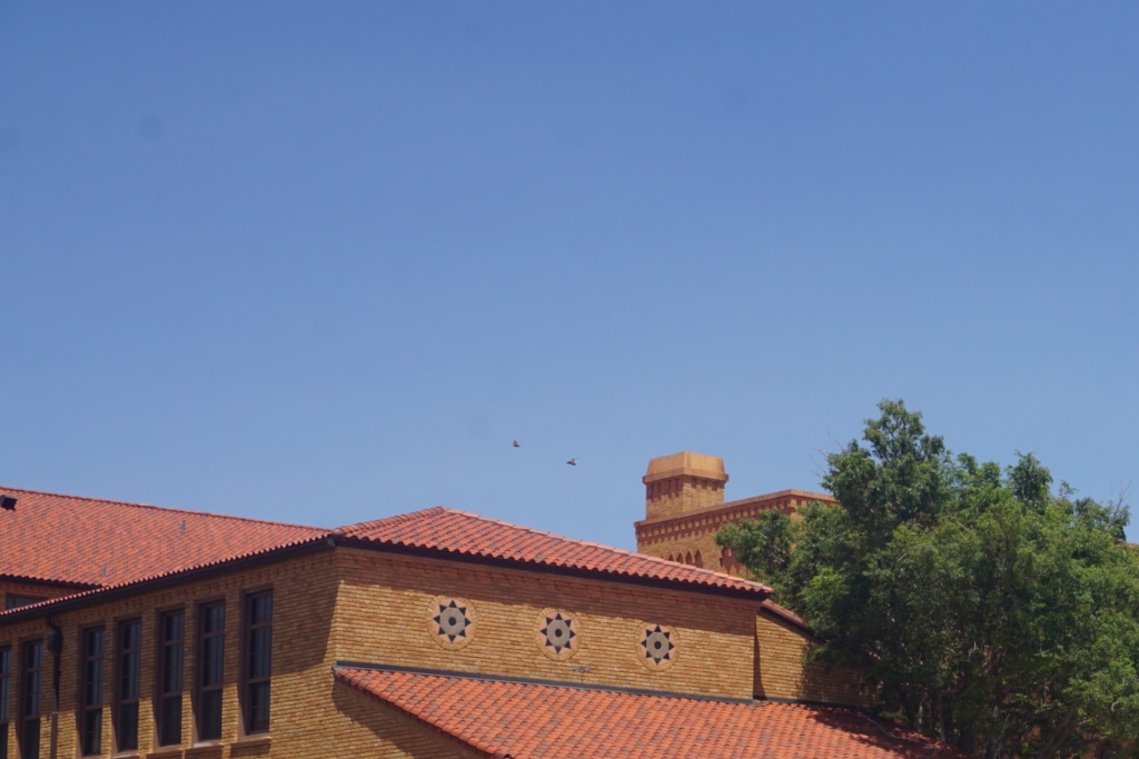 Sell Your Houase For Cash in Lubbock TX (1)