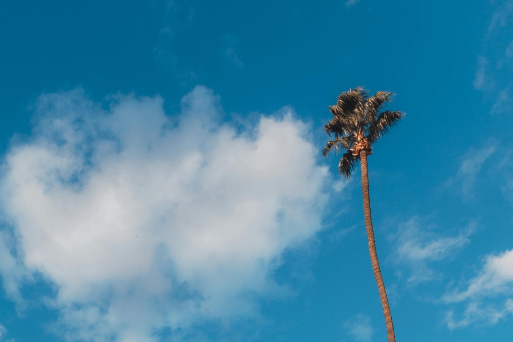 Sell Your House For Cash in Riverside CA 1